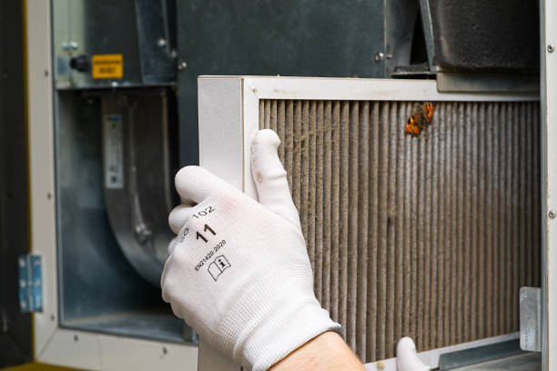 Best Affordable Air Duct Cleaning  in Hudson Lake, IN